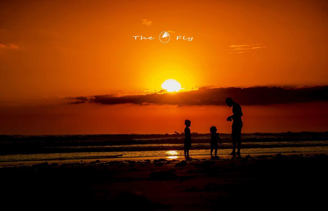 Funky Monkey Lodge Playa Santa Teresa  Kültér fotó