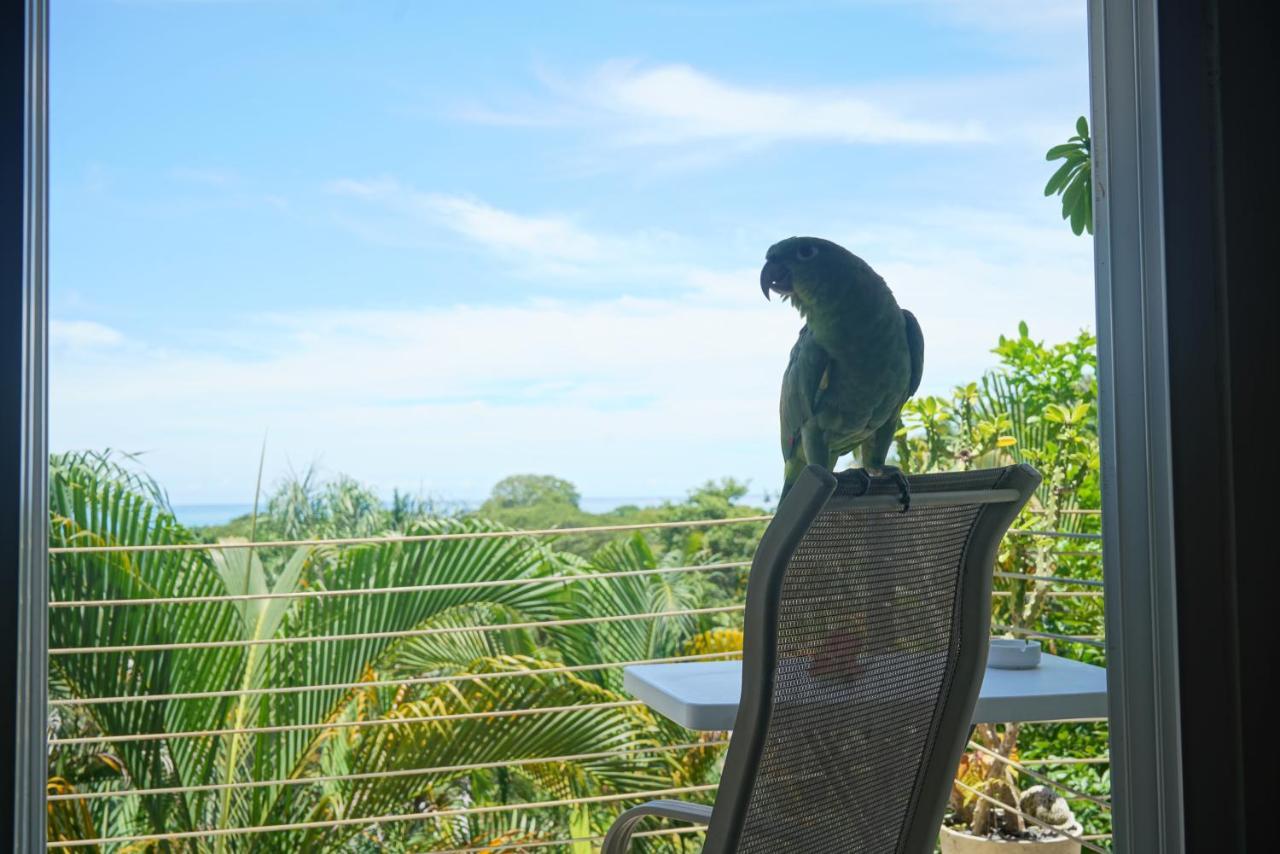 Funky Monkey Lodge Playa Santa Teresa  Kültér fotó