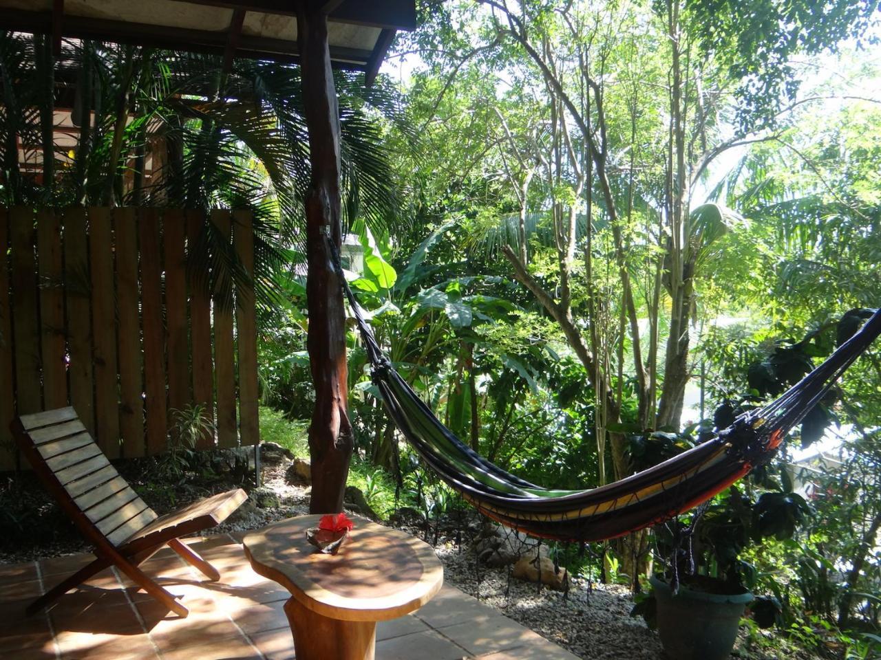 Funky Monkey Lodge Playa Santa Teresa  Kültér fotó
